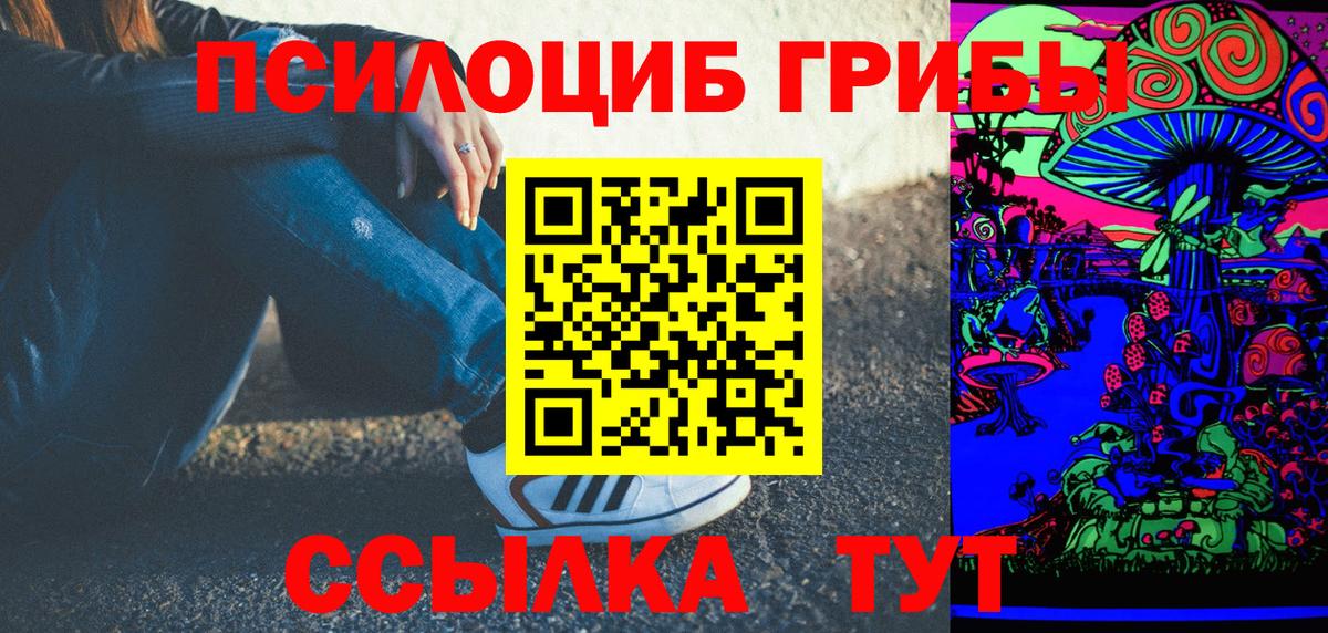 Псилоцибиновые грибы GOLDEN TEACHER Камень-на-Оби